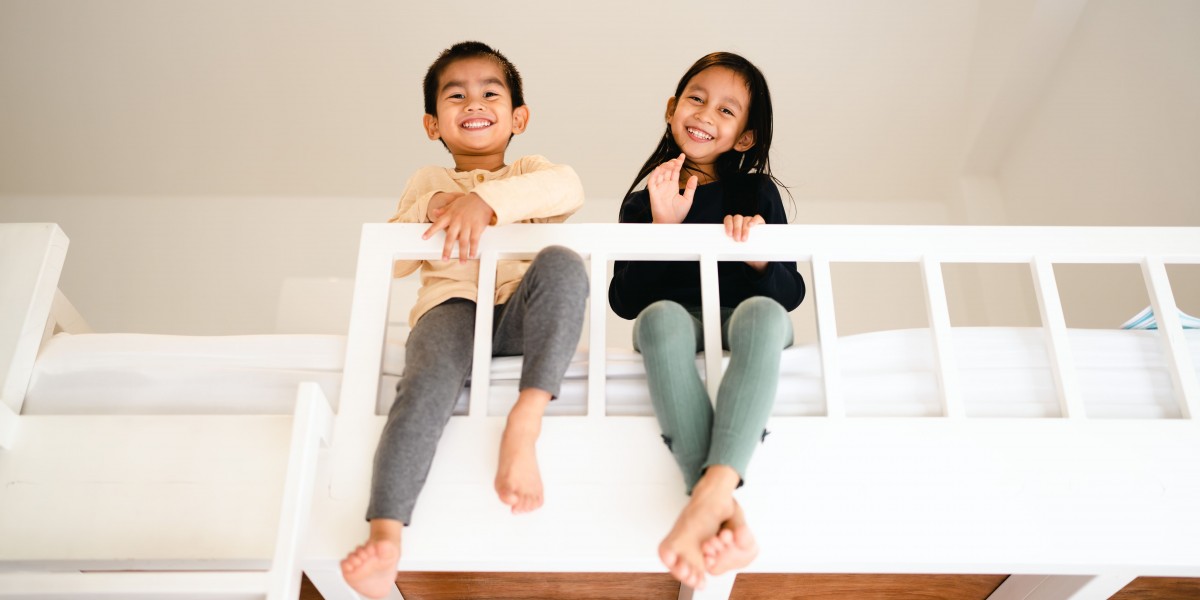 Why You Should Be Working With This Bunk Bed For Adults