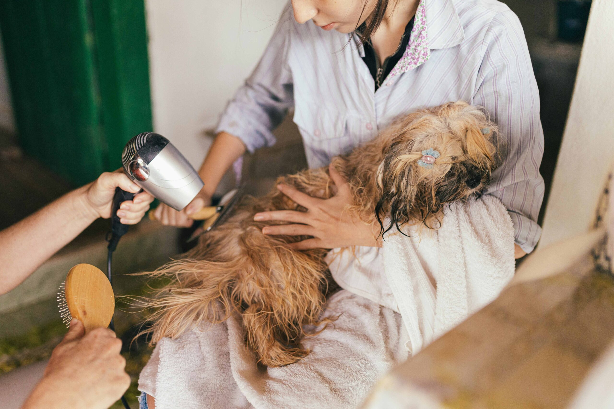 The Importance of Spaying and Neutering in Preventing Health Problems in Pets