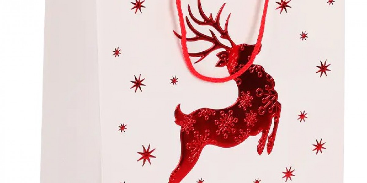 Reusable and Stylish: The Practical Side of Art Paper Bags