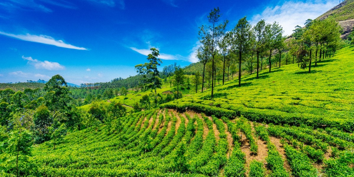 South India Tours for European Travelers