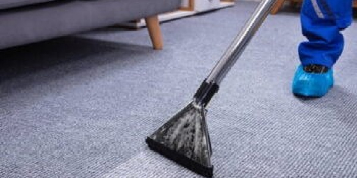 How Often Should You Book Carpet Cleaning Services for Optimal Results?