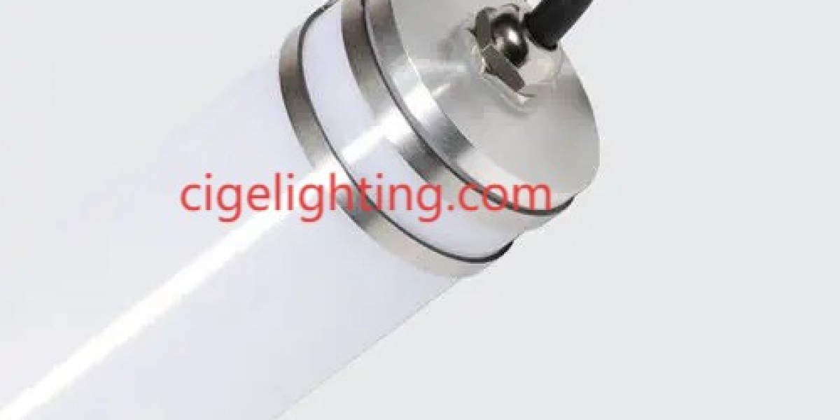 The Self-Sustaining Sentinel: Cigelighting Ip65 Waterproof Fixture