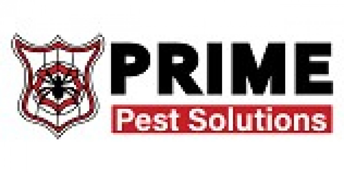 Ant Pest Control Melbourne – Prime Pest Solutions