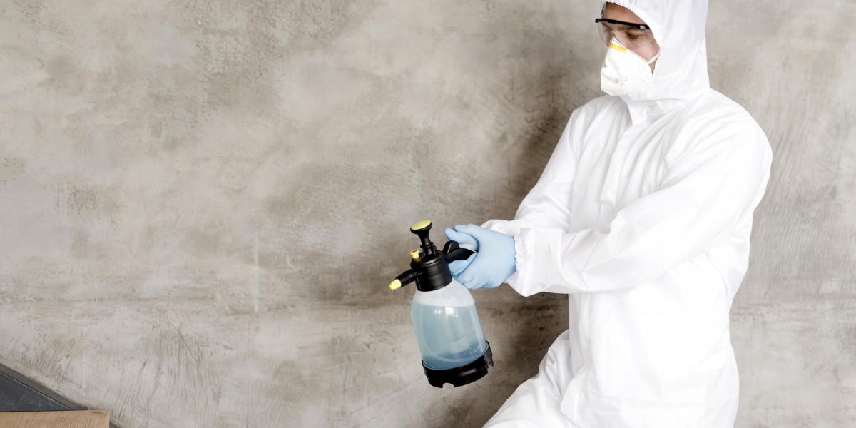 Understanding the Importance of Mold Remediation in Kent, WA