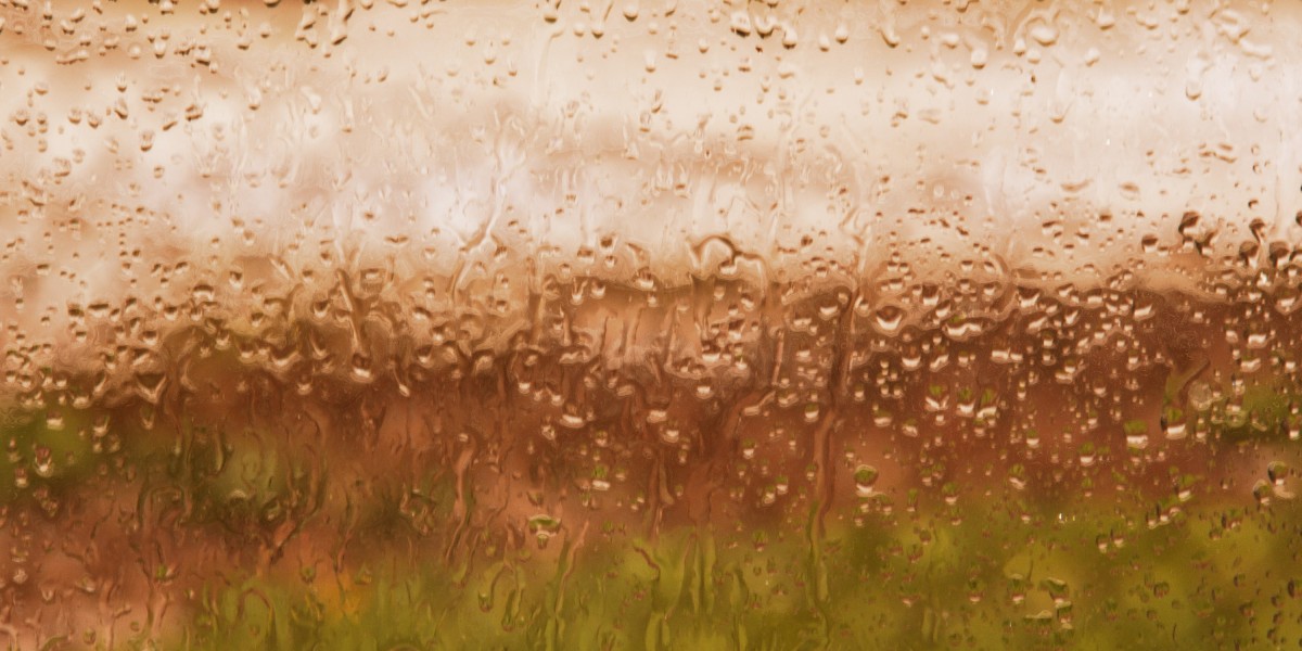 Do Sugar Daddy Sites Really Work? A Case Examine