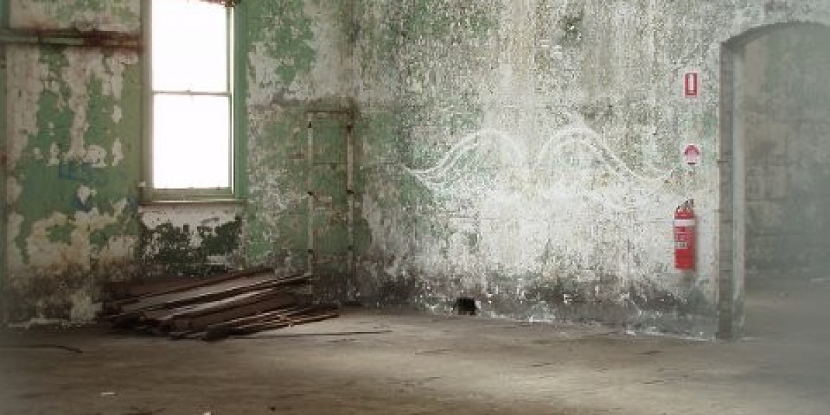 Multiple red flags: ASICs court case against Star executives shows the risks of complacency