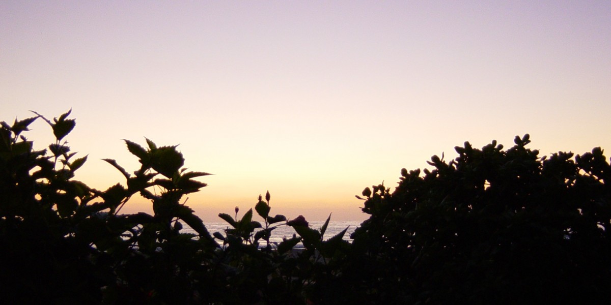 Explore the Resort, Casino, Restaurants and Bars