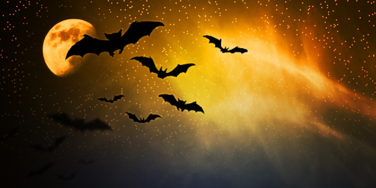 Exploring the Evolution of Sugar Daddy Websites in Europe: A new Period Of Connections