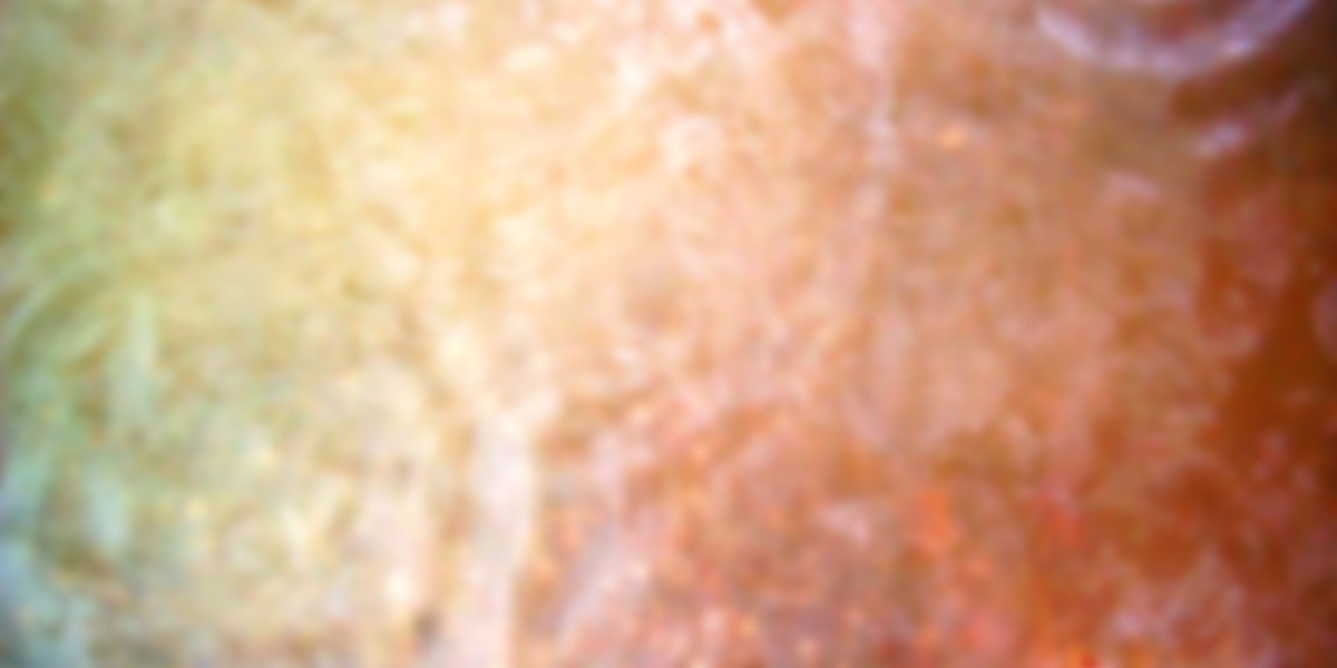 Meet the People Behind the Play