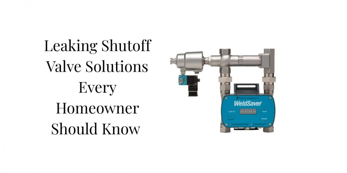 Leaking Shutoff Valve Solutions Every Homeowner Should Know
