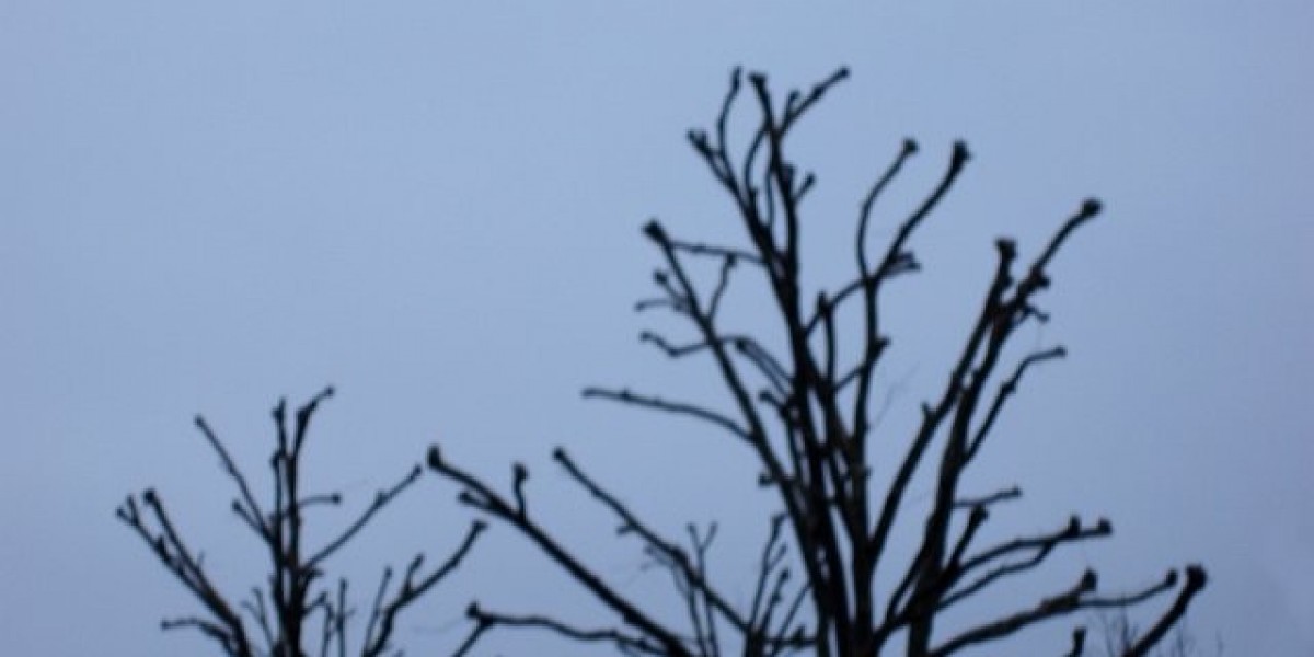 Northern California Casino & Hotel