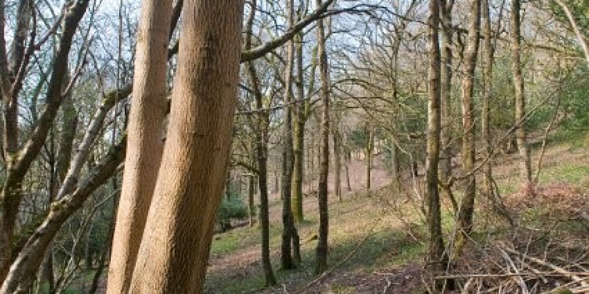 Play Online Poker Games with Real Money