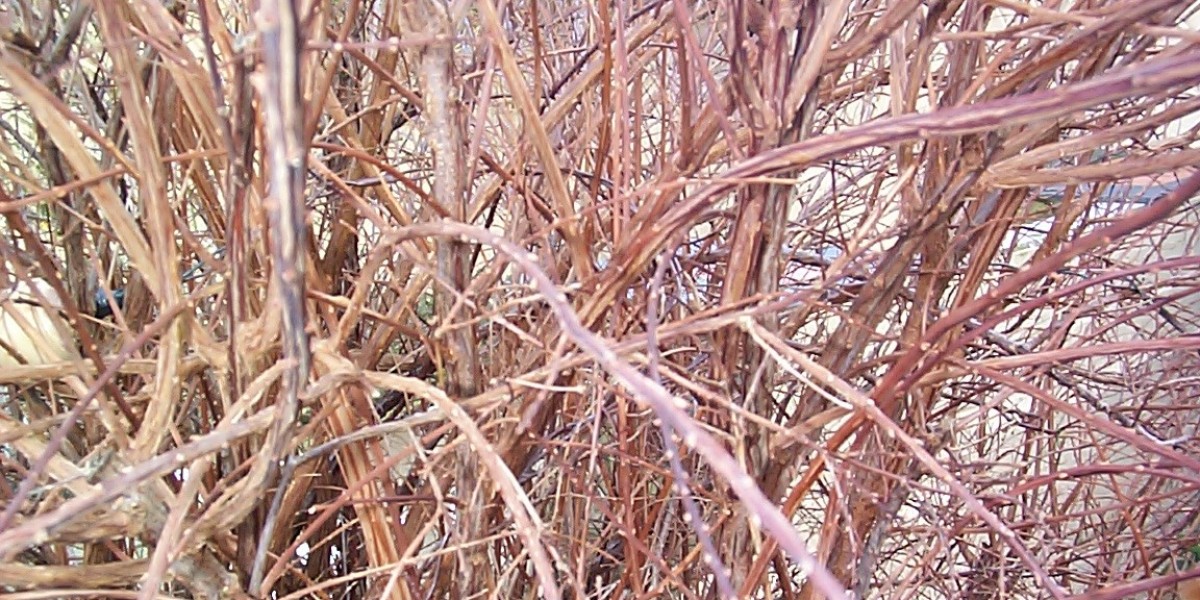 15 Best Online Casinos Australia 2025 Real Money Casino Sites