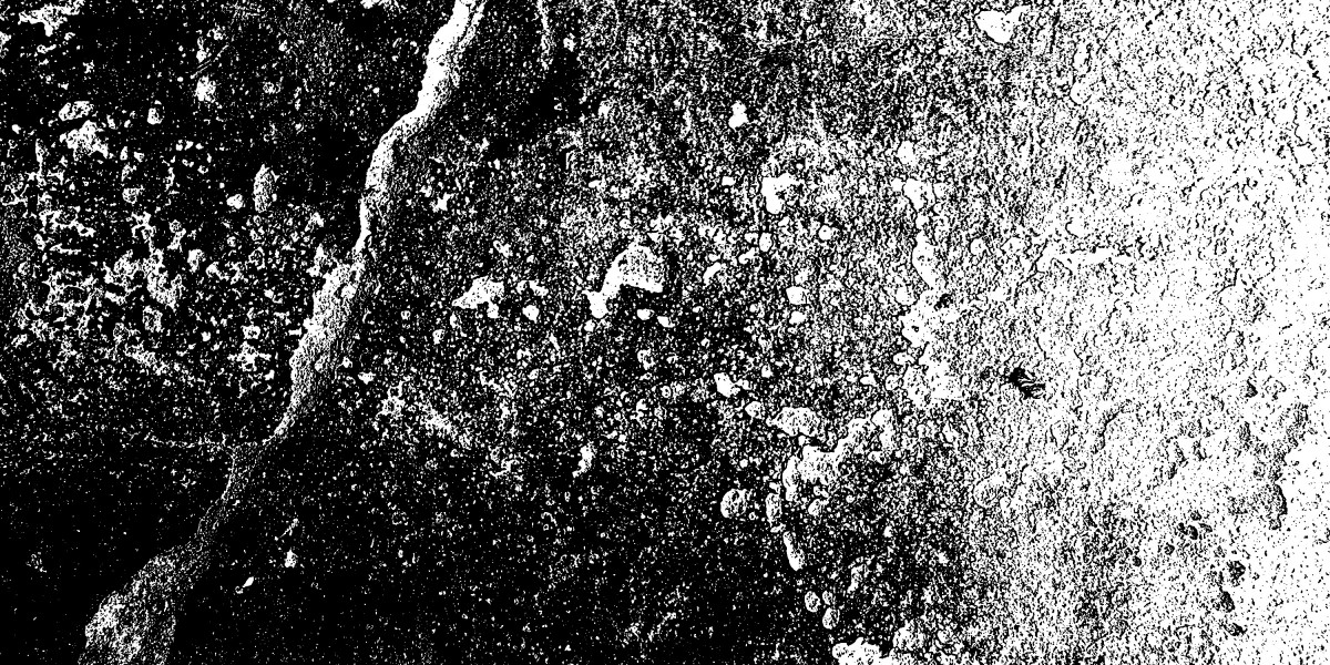 Flying Private with Dogs: The New Trend in Luxury Travel