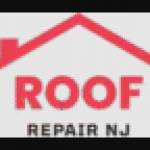 Roof Repairs NJ profile picture
