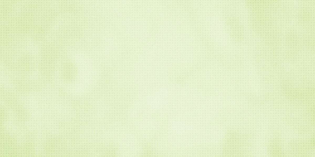 Understanding Large Loans with No Credit Check: Opportunities and Risks