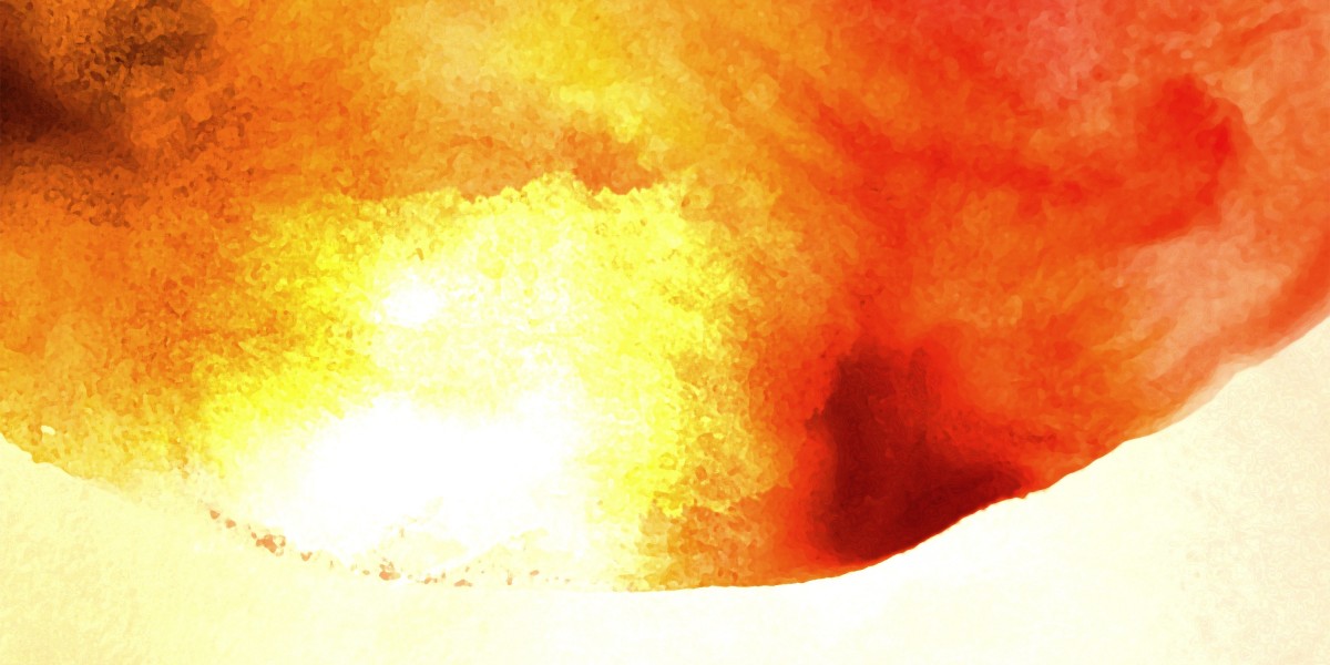 A Comprehensive Study on Aero Charter Flights