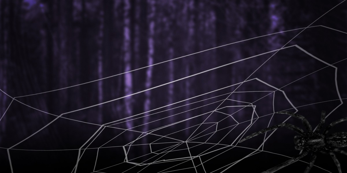 Exploring Money Now Loans: The Appeal and Risks of No Credit Check Financing